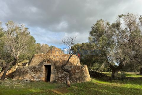 Landejendom i Carovigno, Brindisi, Carovigno - € 54.000 | Ref: 122834 - foto 17